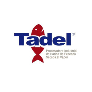 tadel-web-logo