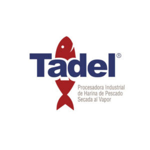 tadel-web